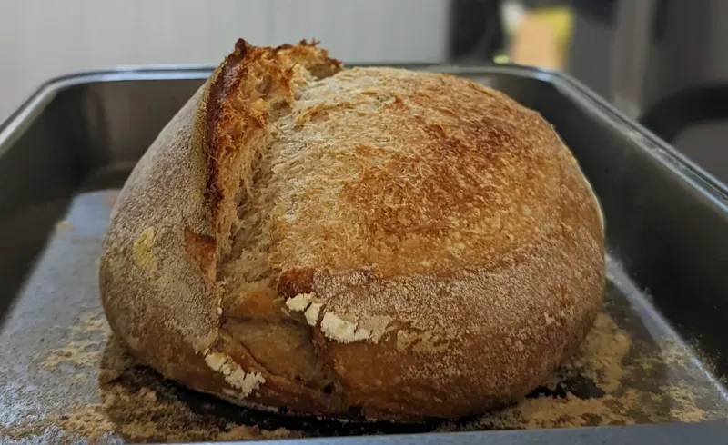 A sourdough bread